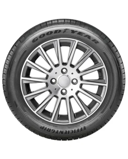 Pneu Aro 18 Goodyear Efficient Performance 225/45R18 95W